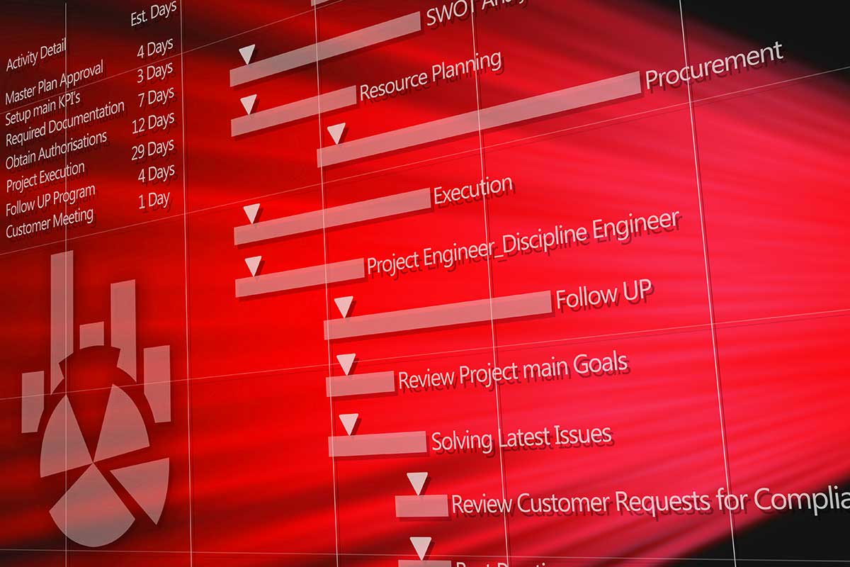 Enterprise resource planning and project management visualization